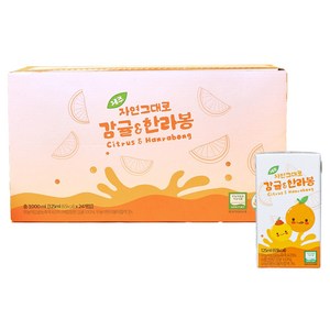 자담 자연그대로 감귤 앤 한라봉 주스, 125ml, 24개