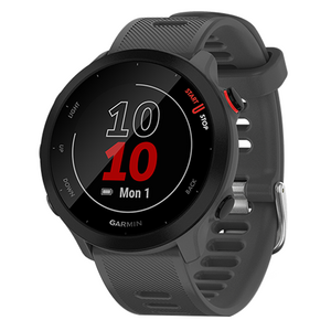 가민 Forerunner 55 러닝 스마트워치, 그레이, 42mm, GPS