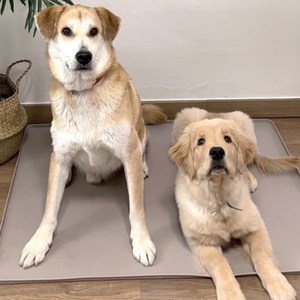 강아지 실리콘 논슬립 배변매트, 밀크 코코아, 1개