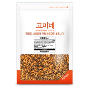 고미네 렌틸콩 믹스, 500g, 1개