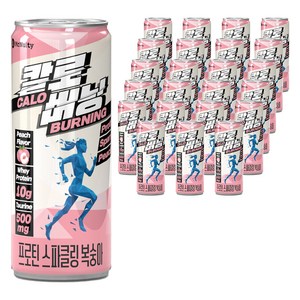 맥널티 칼로버닝 프로틴 스파클링 무설탕 복숭아맛 탄산음료, 250ml, 24개