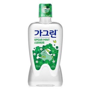 가그린 죠르디 에디션 스피아민트 구강청결제, 750ml, 1개