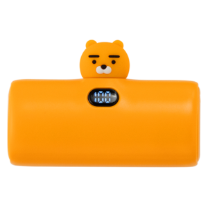 카카오프렌즈 빼꼼 도킹형 고속충전 보조배터리 5000mAh C타입, 라이언