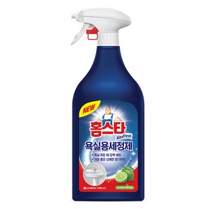 홈스타 욕실청소용 세정제, 900ml, 1개