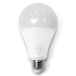 두영 LED 전구 20W, 1개, 주광색