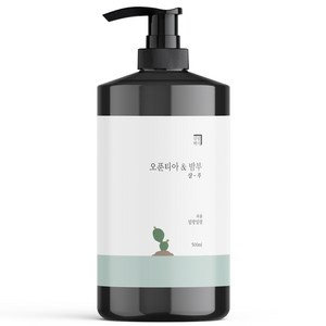 살림백서 오푼티아 앤 밤부 퍼퓸 샴푸 일랑일랑, 1개, 500ml