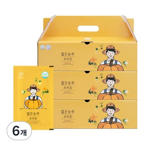 푸릇담 젊은농부 호박즙, 3L, 6개