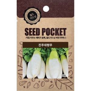 월드가드닝 정원 텃밭 좋은 씨앗 뿌리채소 진주대평무씨 10g, 1개