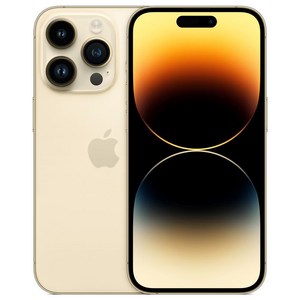 Apple 정품 아이폰 14 Pro Max 자급제, 골드, 512GB