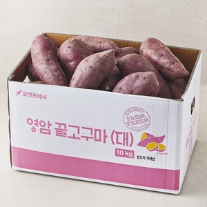 영암 꿀고구마, 10kg(대), 1개