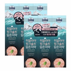 히말라야핑크솔트 담은 치약 아이스 카밍 민트, 100g, 6개