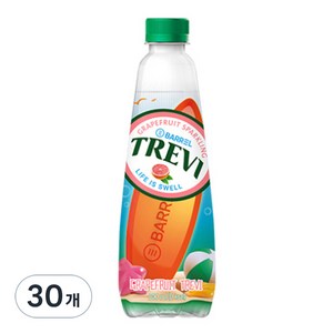 트레비 자몽 탄산음료, 500ml, 30개