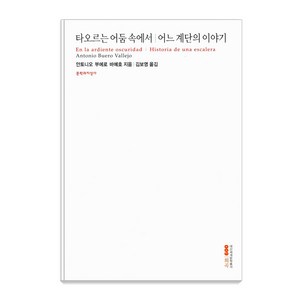 [문학과지성사]타오르는 어둠 속에서 / 어느 계단의 이야기 - 대산세계문학총서 9, 문학과지성사, 안토니오 부에로 바예호