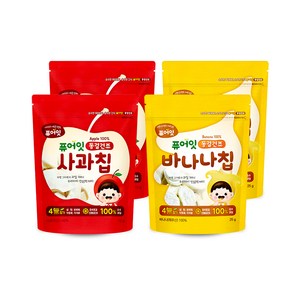 퓨어잇 내이브로 사과칩 12g x 2p + 바나나칩 25g x 2p, 1세트