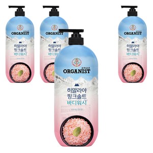 오가니스트 히말라야 핑크솔트 풍성한 거품 산뜻한 바디워시 민트향, 900g, 4개