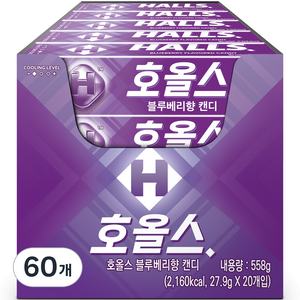 호올스 블루베리향 캔디, 27.9g, 60개