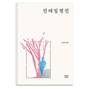 전태일평전, 아름다운전태일, 조영래