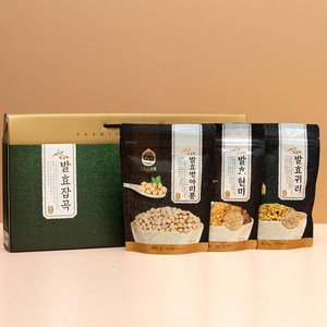 올고진 발효잡곡 400g 3종 2호, 1세트