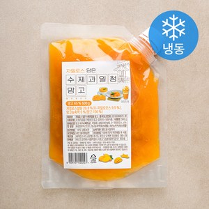 자일로스 담은 수제과일청 망고 (냉동), 500g, 1개