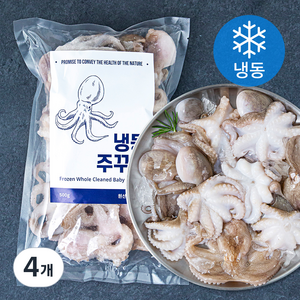 바이오션 주꾸미 (냉동), 500g(20~25마리), 4개