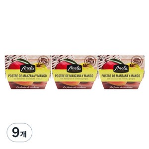 아넬라 첫시작 리얼 과일 디저트 세트, 망고, 200g, 9개
