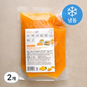 자일로스 담은 수제과일청 망고 (냉동), 1kg, 2개