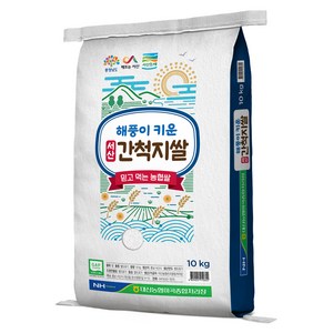 대산농협 2024년산 햅쌀 해풍이 키운 서산 간척지쌀, 상등급, 10kg, 1개