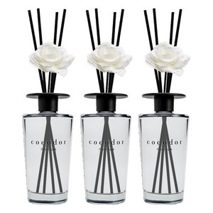 코코도르 블랙에디션 디퓨저, 편백, 500ml, 3개