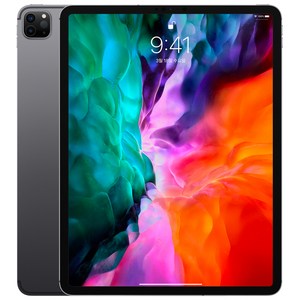 Apple iPad Pro 12.9 4세대, 스페이스 그레이, 1TB, Wi-Fi+Cellular