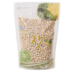 솔닙 백잣, 500g, 1개