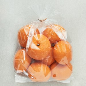 곰곰 고당도 13.5bix 카라향, 1.2kg, 1개