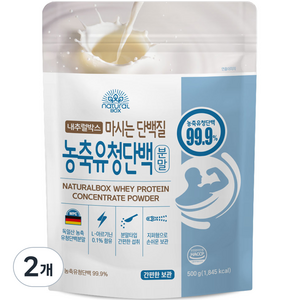 내추럴박스 농축 유청 단백질 분말, 500g, 2개