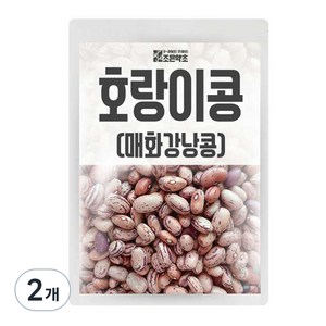 조은약초 호랑이콩, 1kg, 2개