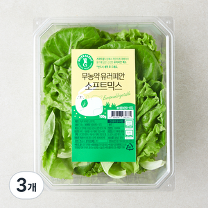 그린래빗 무농약 인증 유러피안 소프트믹스 샐러드, 100g, 3개