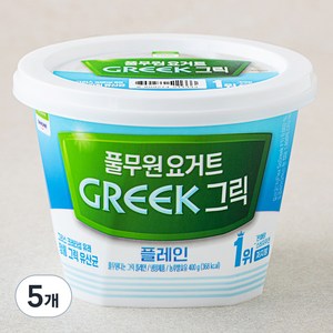 풀무원다논 그릭 플레인, 400g, 5개