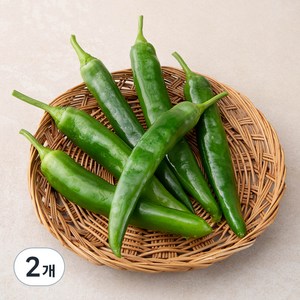 국내산 친환경 오이맛 고추, 200g, 2개