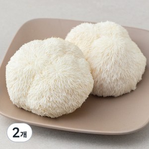 국내산 친환경 노루궁뎅이 버섯, 150g, 2개