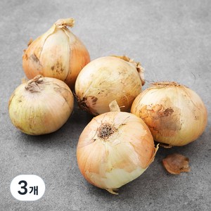 유기농 양파 (햇), 1.5kg, 3개