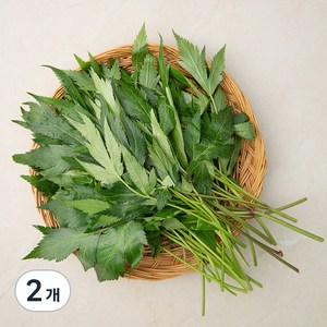 국내산 당귀잎, 100g, 2개