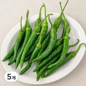 국내산 청양고추, 300g, 5개