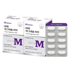 로니웰 파워 마그네슘 400, 2개, 60정