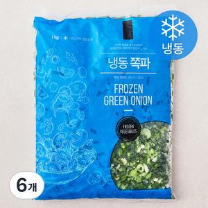 냉동 쪽파 (냉동), 1kg, 6개