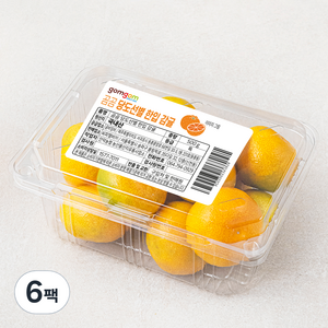 곰곰 당도선별 감귤, 500g(꼬마과), 6팩