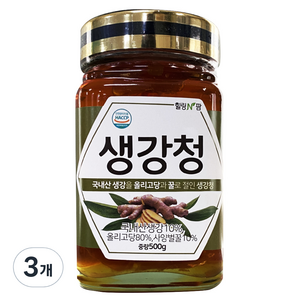 힐링앤팜 생강청, 500g, 1개입, 3개