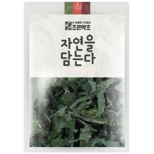 조은약초 씀바귀, 200g, 1개