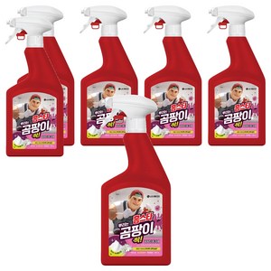 홈스타 뿌리는 곰팡이 싹 세정제, 900ml, 6개