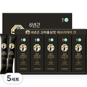 자연허브 6년근 고려홍삼정 에브리데이 진 홍삼스틱 30p + 쇼핑백, 450g, 5세트