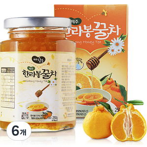 제주담움 한라봉꿀차, 250g, 1개입, 6개