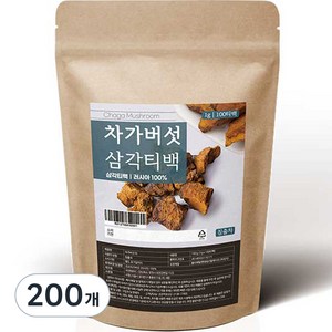 조은약초 차가버섯차 삼각티백, 1g, 100개입, 2개