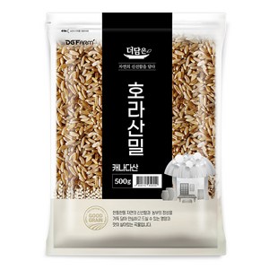 더담은 호라산밀, 500g, 1개